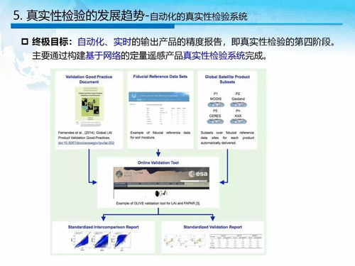 ppt丨肖青 定量遥感产品真实性检验研究现状及发展趋势