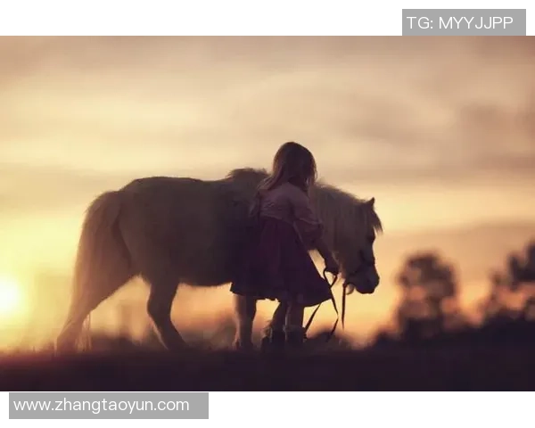 足球明星脚法惊艳瞬间解析技艺与创意的完美结合